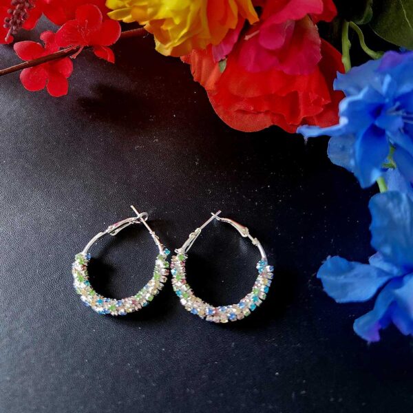 Blue White Stone Studded earrings - Image 2